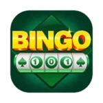 Bingo 101