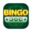 Bingo 101
